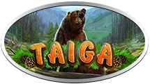 Taiga